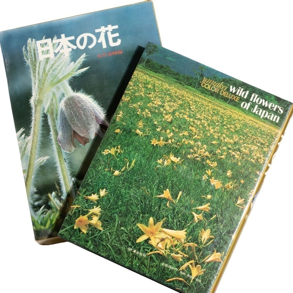 Wildflowers of Japan (Japanese Edition) with Slipcover by Yamakei Color Deluxe c - Picture 2 of 10